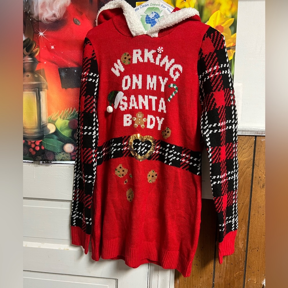 4/$25 Sherpa hoodie Christmas sweater